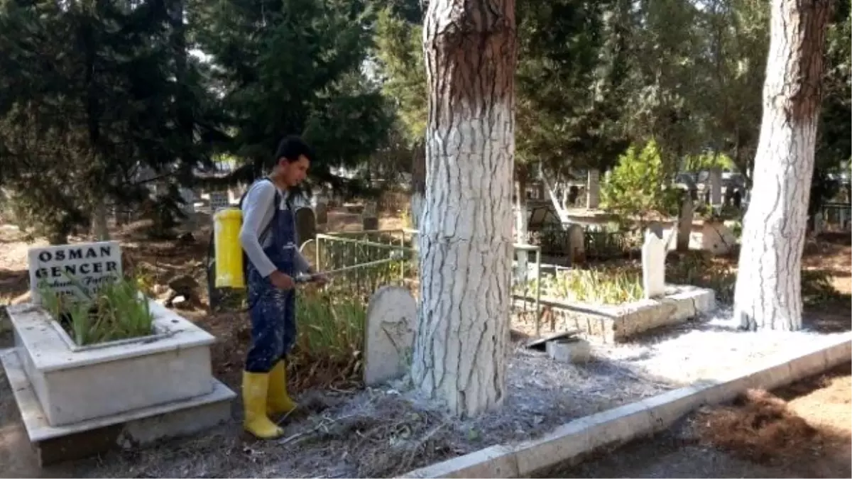 Mezarlık Hizmetleri Takdir Topladı