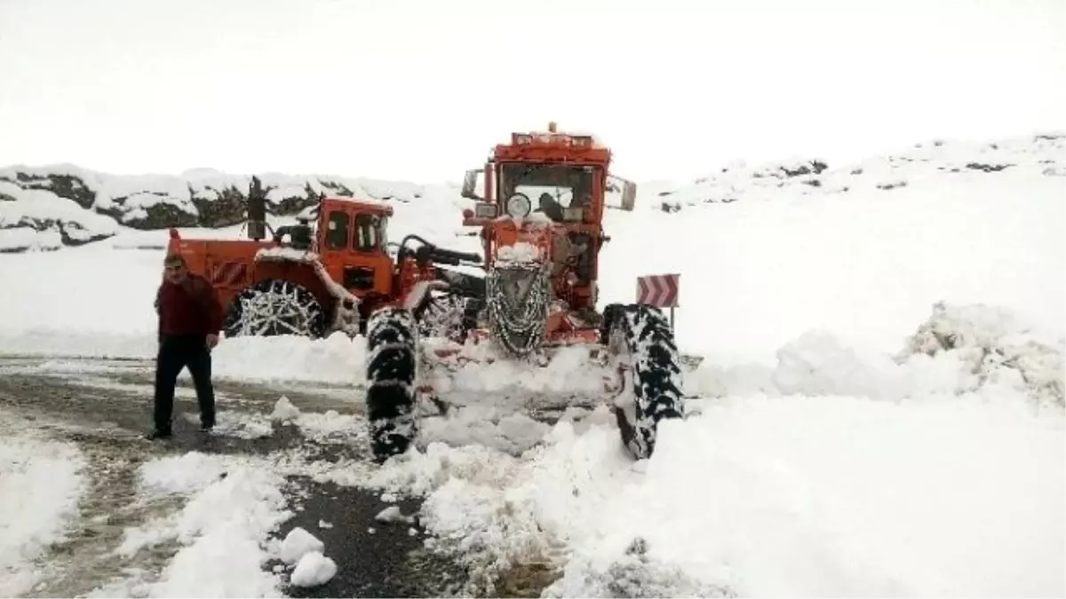 Siirt\'te Bir Köy Dışında Tüm Koy Yollarının Ulaşımı Açıldı