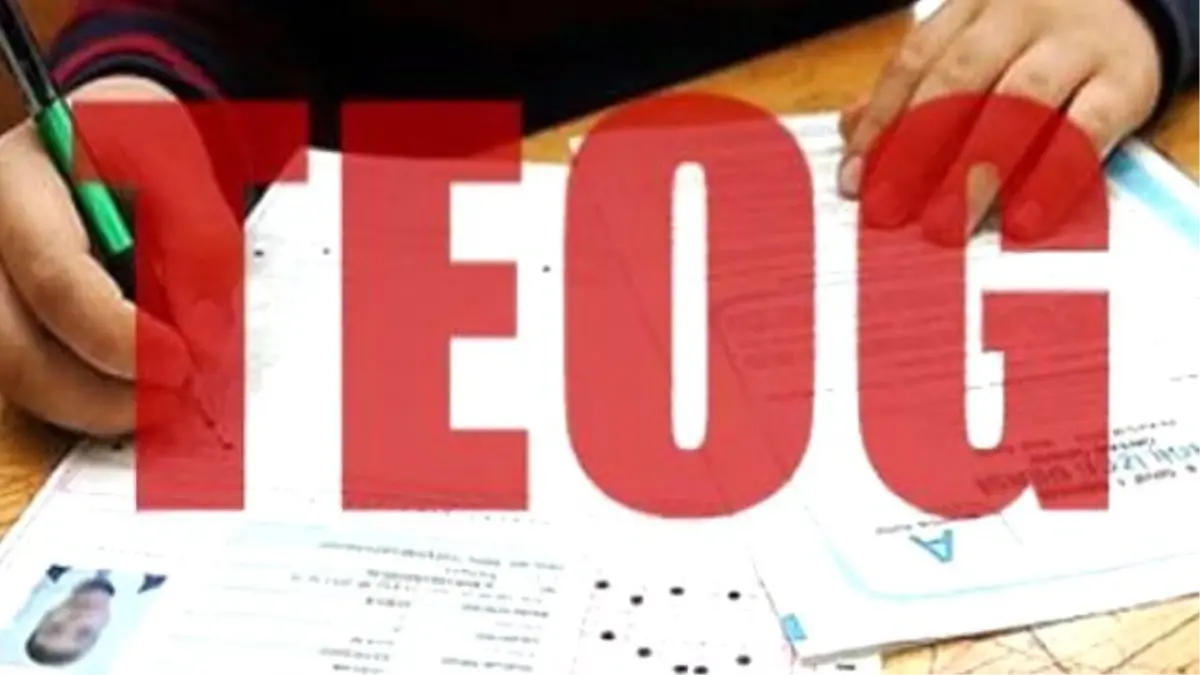 TEOG sonuçları öğrenme, sonuç sorgulama nasıl yapılır ?