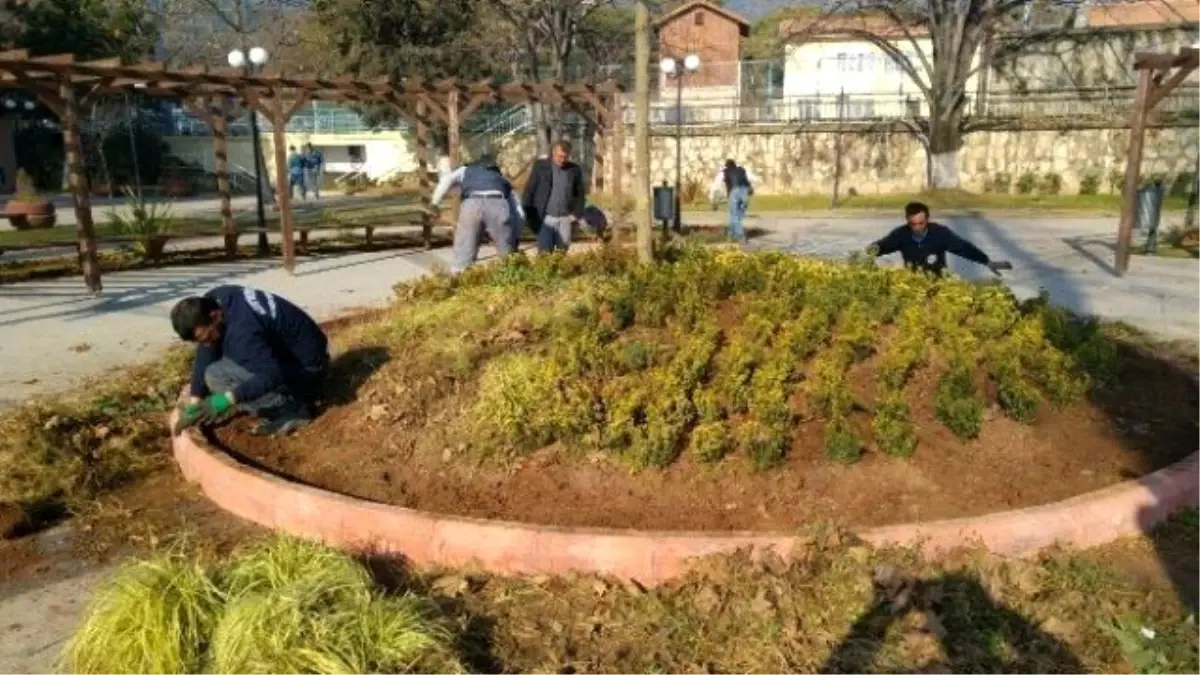 Körfez Park ve Bahçelerine Bakım