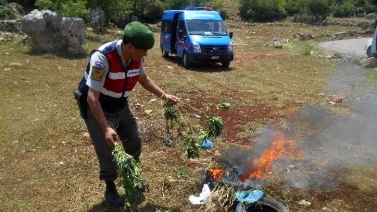 Mersin\'de Jandarma Komutanlığı 2015 Yılı Verilerini Açıkladı