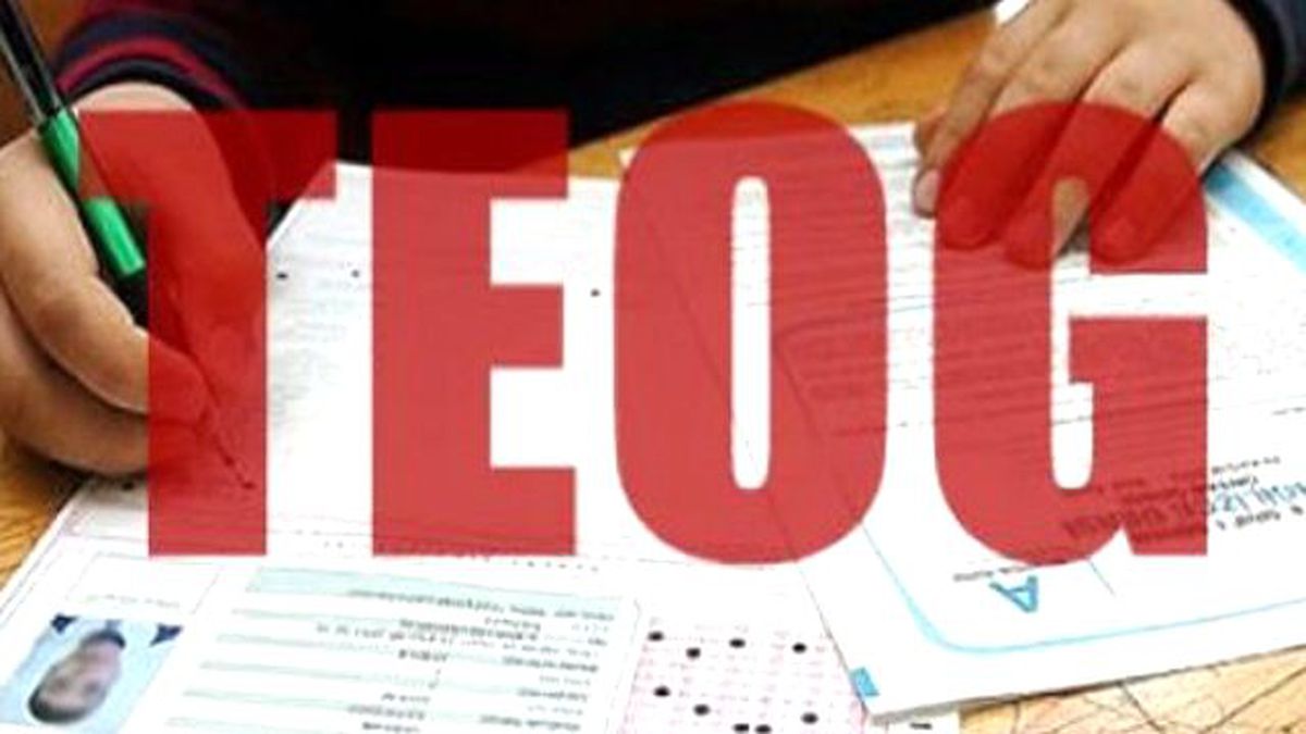 TEOG sonuçları öğrenme, sonuç sorgulama nasıl yapılır ?