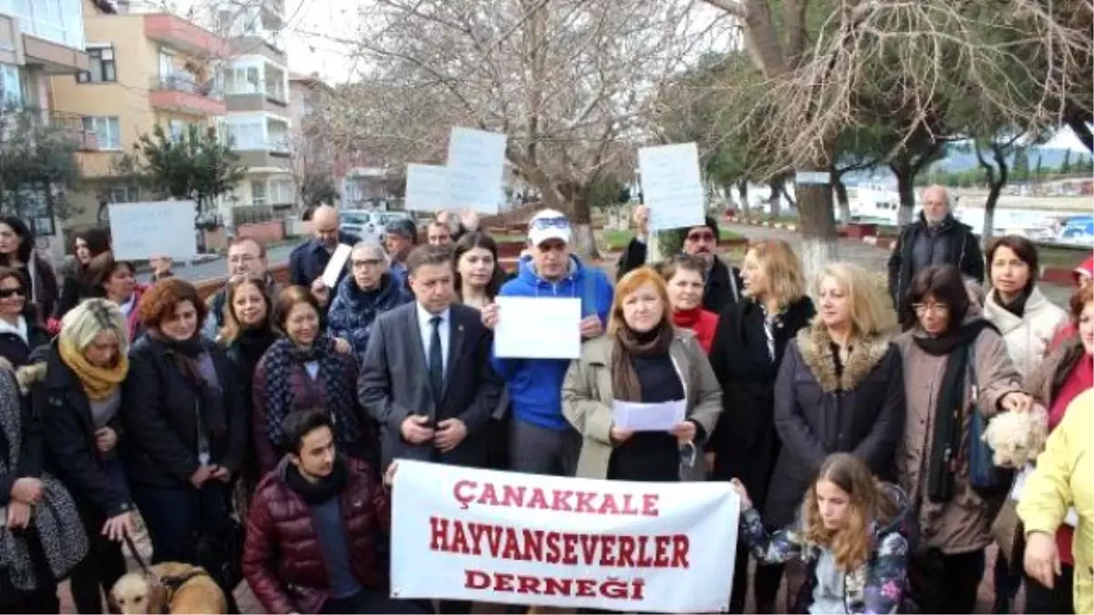 Çanakkaleli Hayvanseverlerden \'Zehirli Yiyecek\' Tepkisi