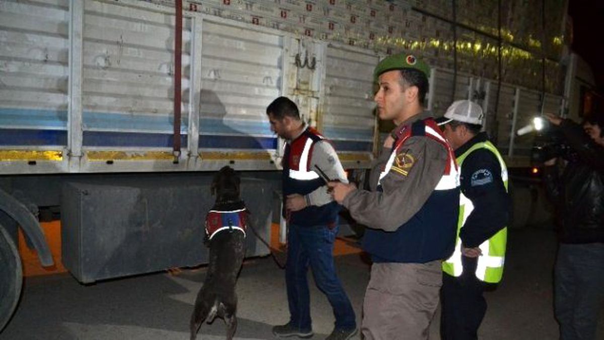 Jandarma Kuş Uçurtmuyor
