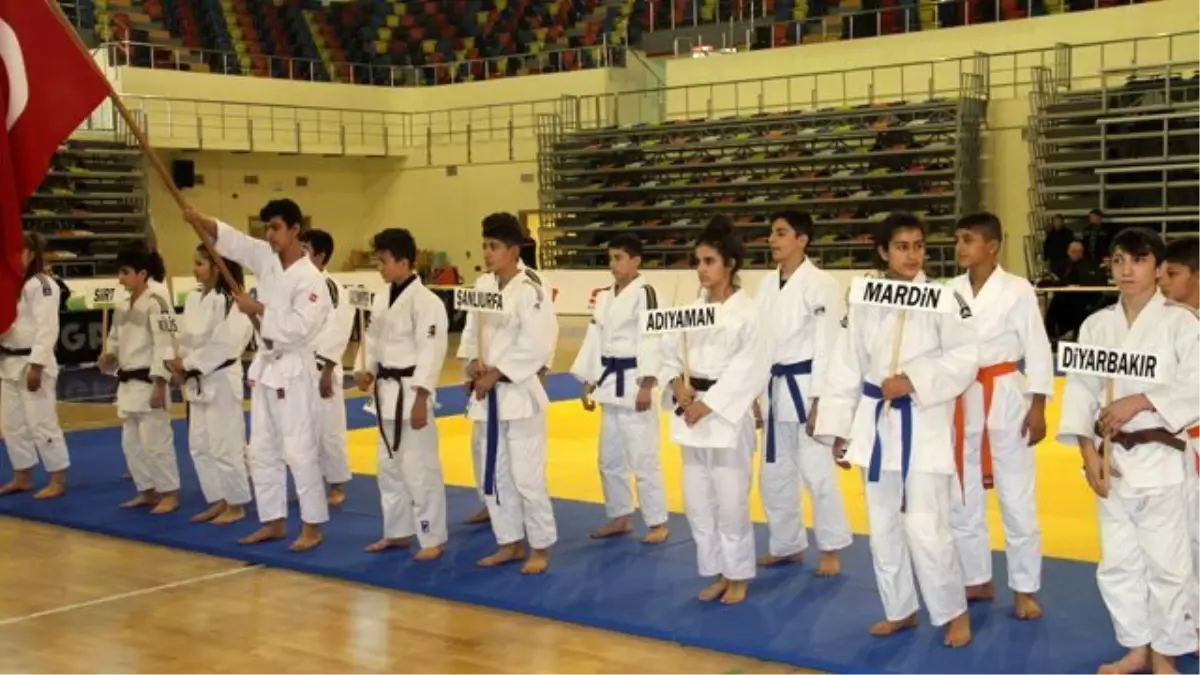 Judoda Urfa Farkı