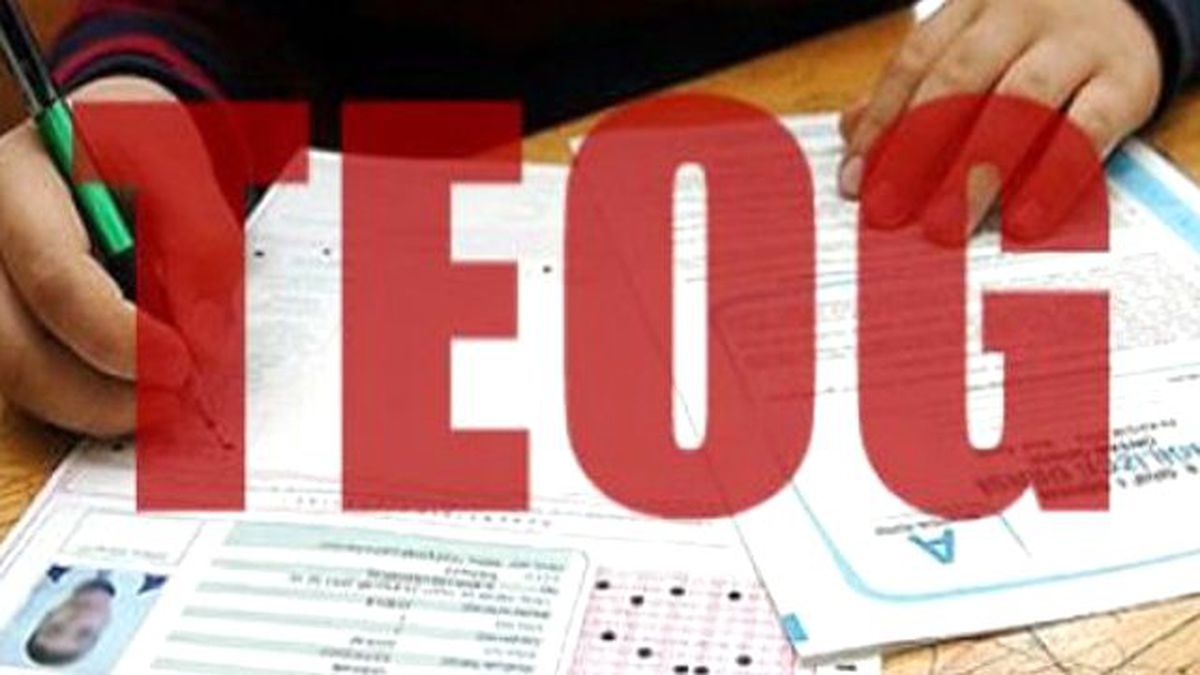 TEOG sonuçları öğrenme, sonuç sorgulama nasıl yapılır ?