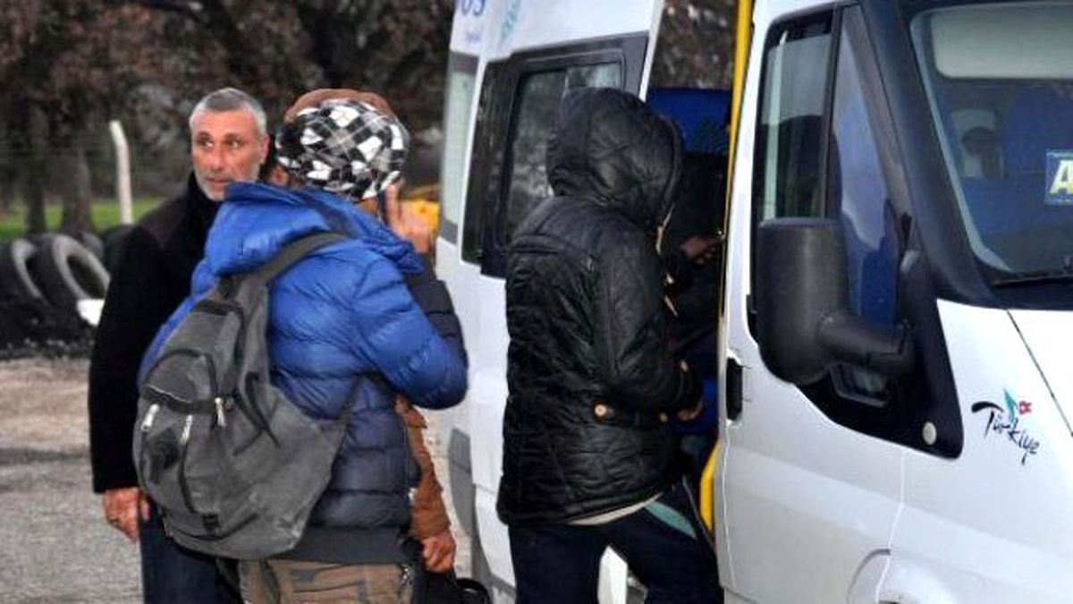 Zeytinlikte 35 Kaçak Yakalandı