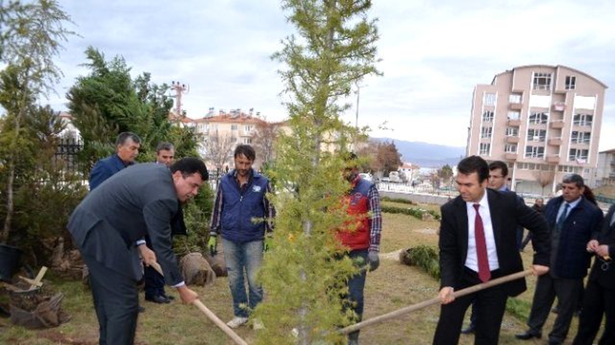 Adliye Personelinin Dikili Ağacı Oldu