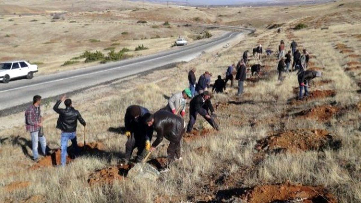 Doğanşehir\'de 200 Orman İşçisi Kazma Bıraktı