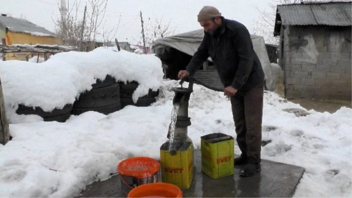 Dondurucu Soğuklar Hayvan Sahiplerini Etkiledi