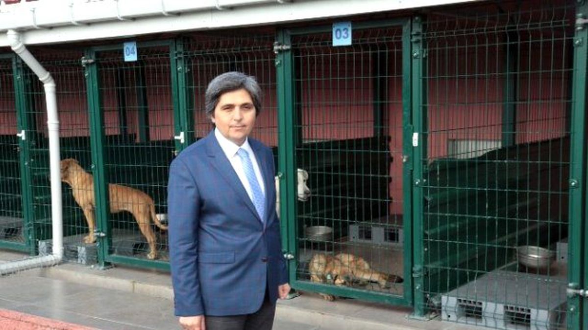 Hayvanlar, Yerden Isıtmalı Sistemle Soğuktan Korunuyor