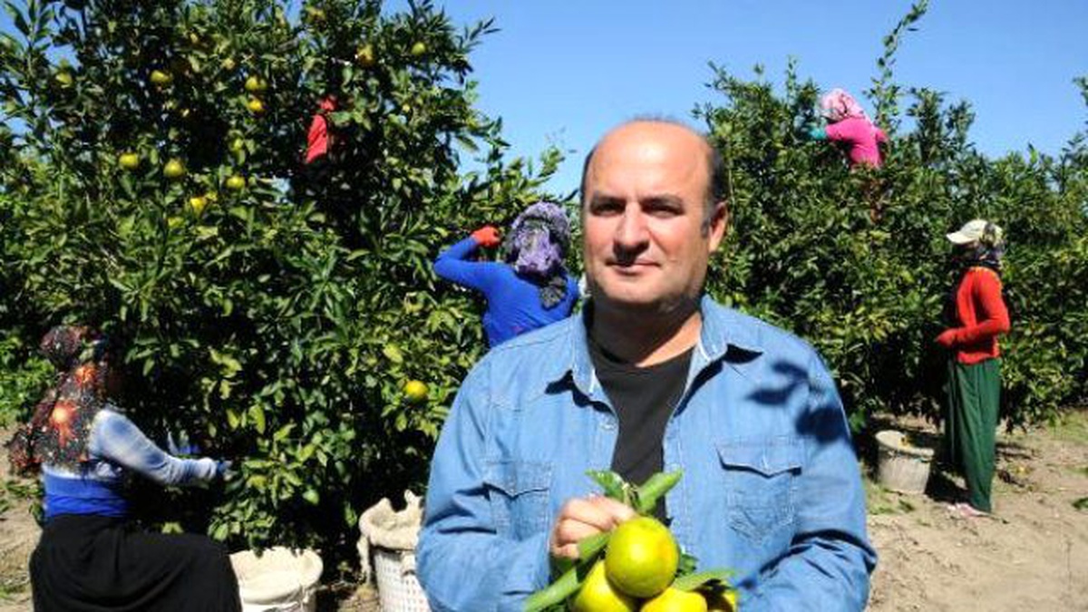 İncefikir: Narenciyenin İç Piyasada Tüketilmesinin Yolları Bulunmalı