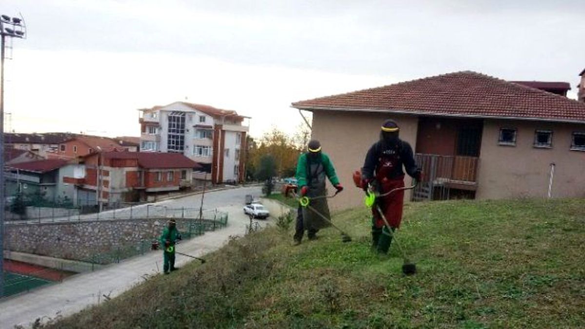 İzmit\'te 2 Bin Ağaç Budandı