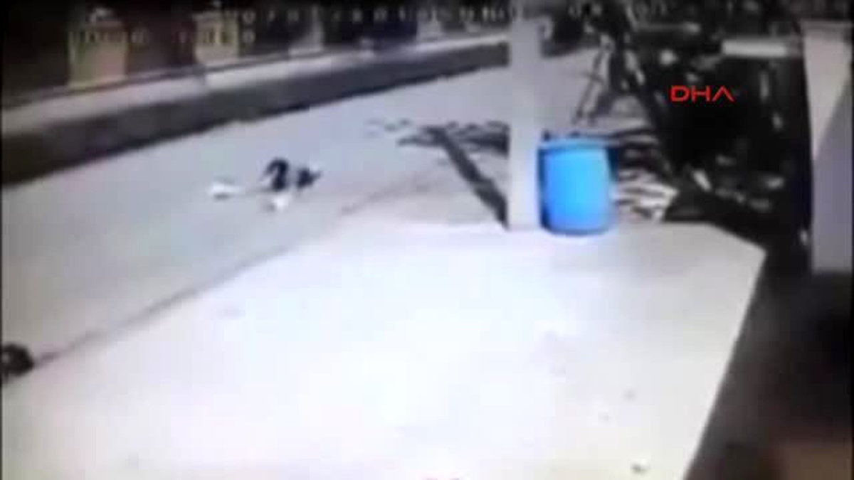 Kurbanını Önce Yere Düşürdü, Sonra Kalkmasına Yardım Etti, Ardından Çantasını Gasp Etti