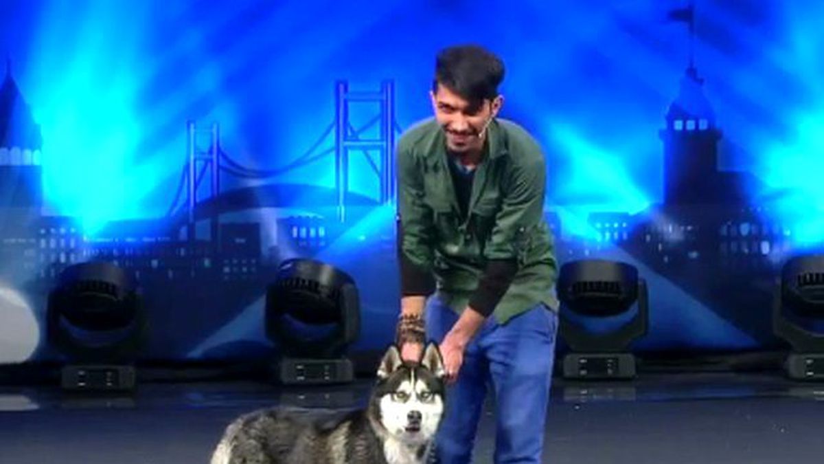Ömer ve Paşa Köpek Gösterisi