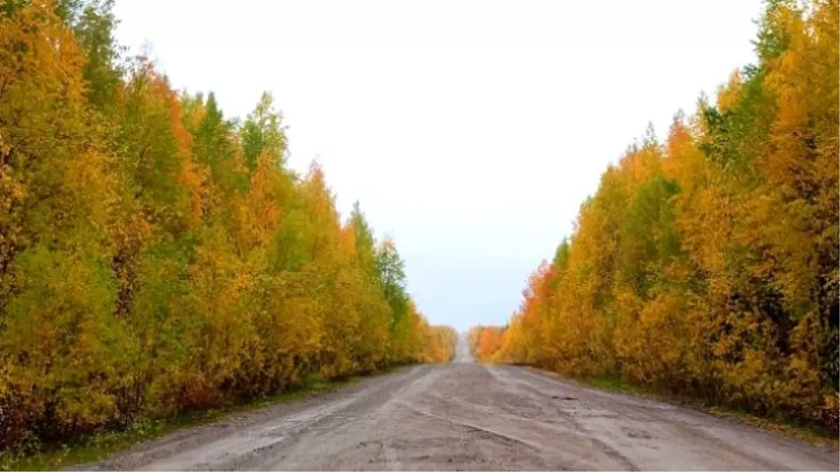 48 Kilometrelik Otobanı Çaldılar