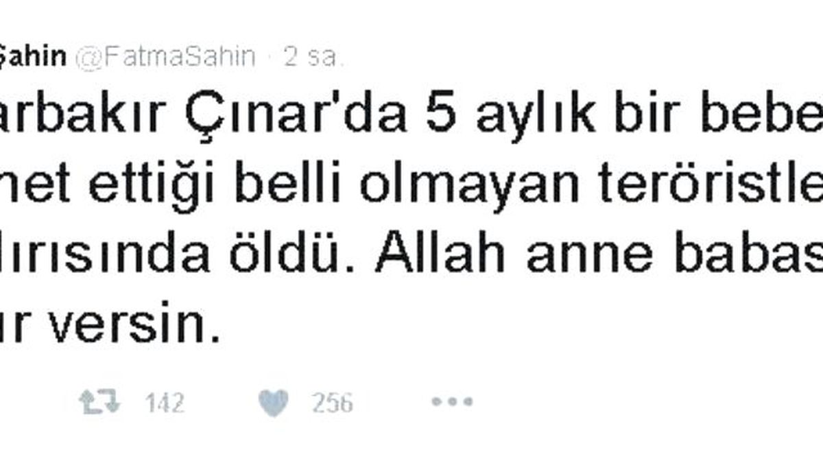 Şahin, Çınar Saldırısını Değerlendirdi