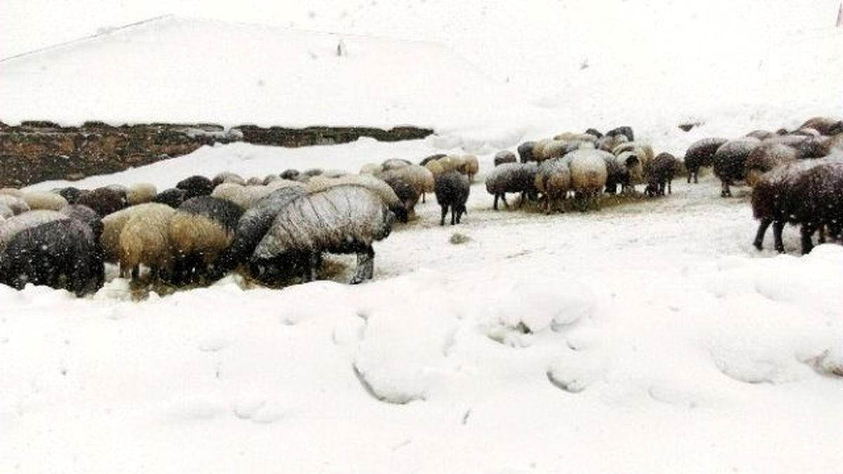 Bingöl\'de Kar Ulaşımı Vurdu