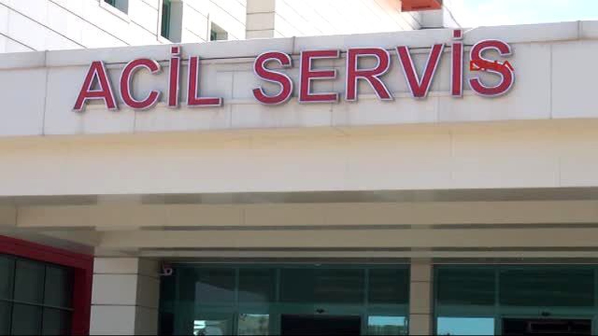 Kahramanmaraş\'ta Domuz Gribinden Ölüm