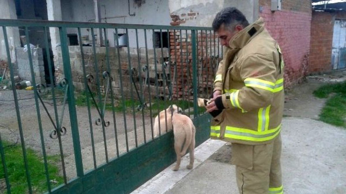 Kapıya Sıkışan Köpeği İtfaiye Kurtardı