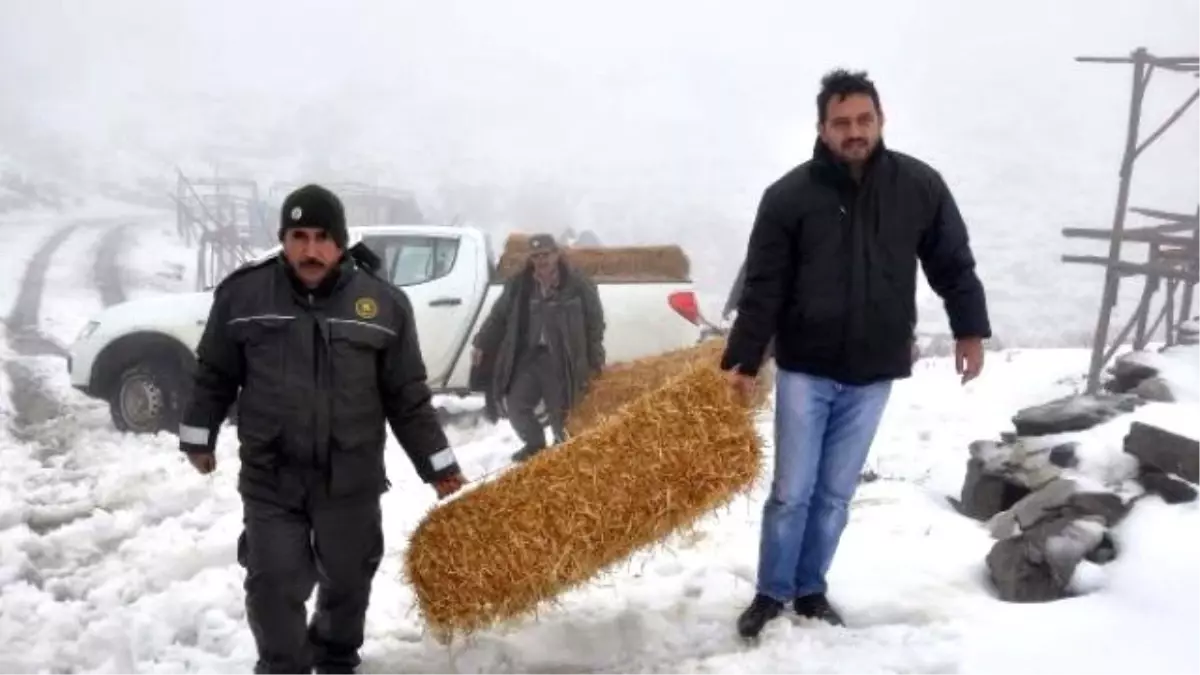 Osmaniye\'de Yaban Hayvanları İçin Doğaya Yiyecek Bırakıldı