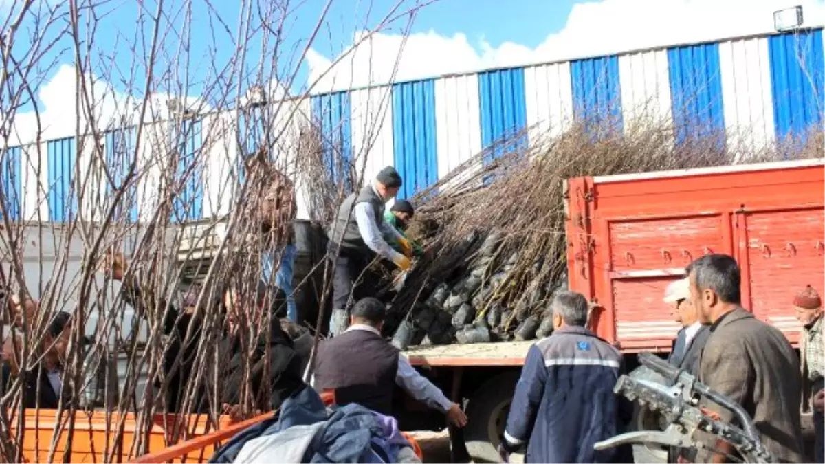 Soğuk Hava Dalgasına Karşı Önleminizi Alın