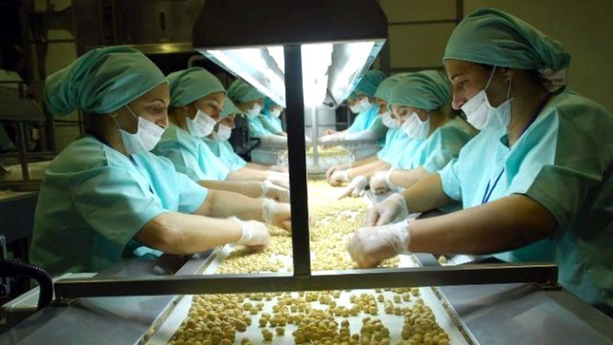 Düzce\'de Geçen Yıl 27 Bin 775 Ton İç Fındık, 10 Bin 976 Ton Tavuk Ayağı İhraç Edildi