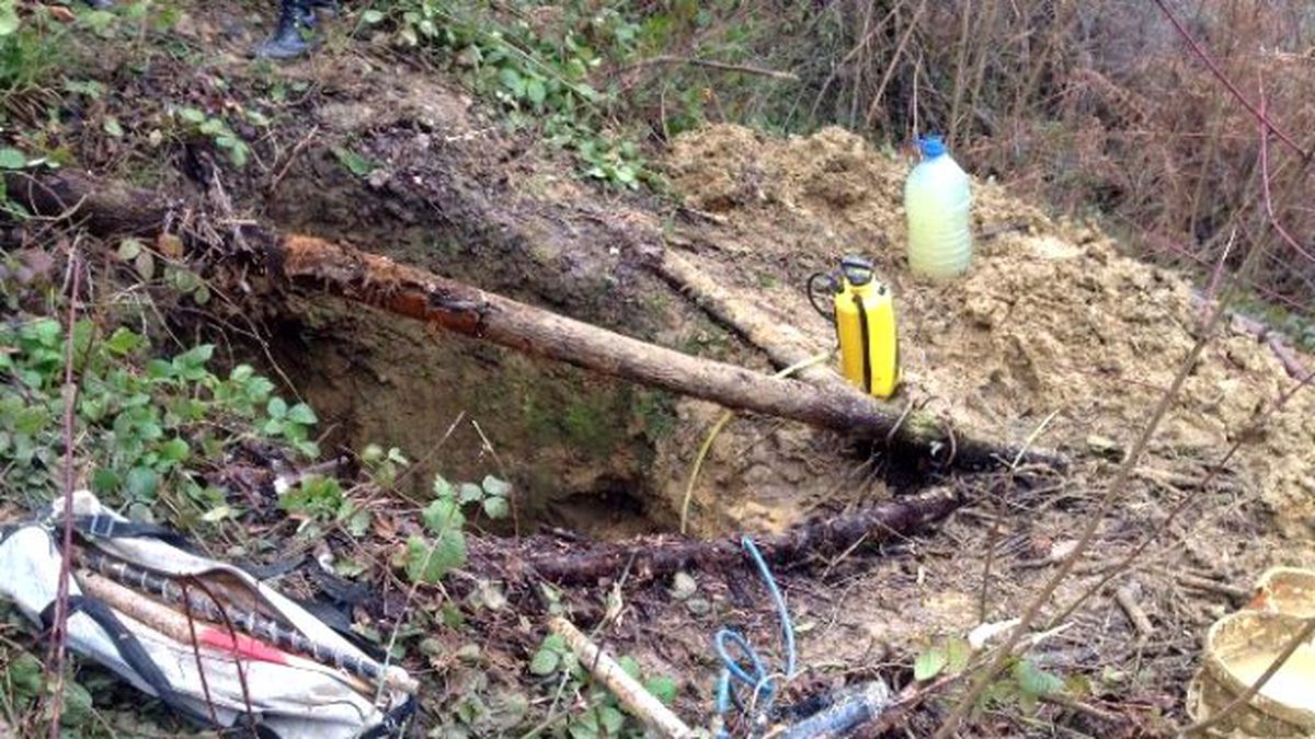 Zengin Olma Hayalleri Kurarken Jandarmaya Yakalandılar
