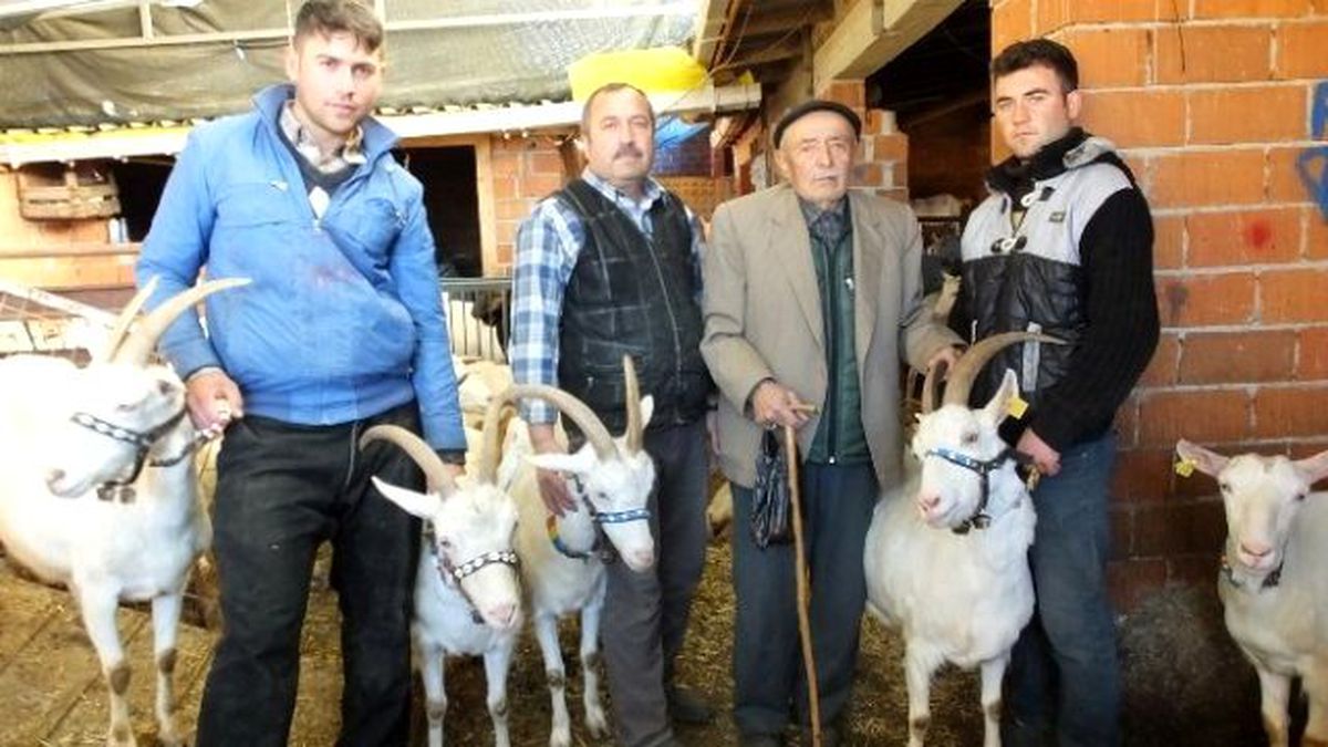 Burhaniyeli Çobanın Azmi Takdir Topladı