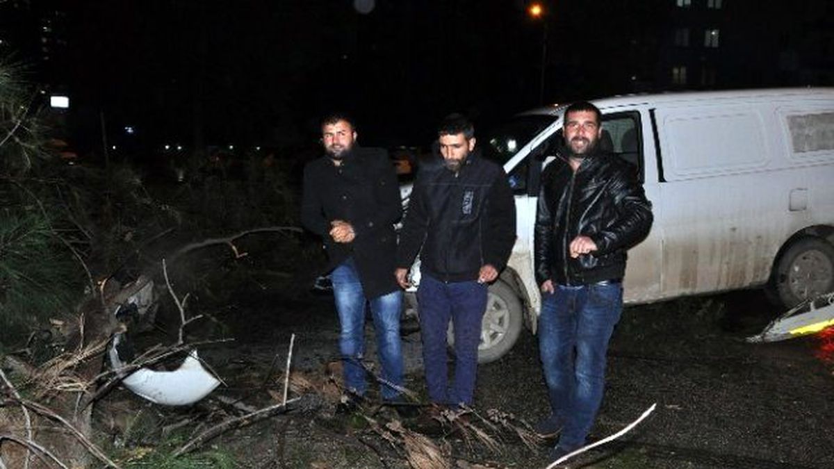 Fırtınada Devrilen Ağaç Sonları Olacaktı