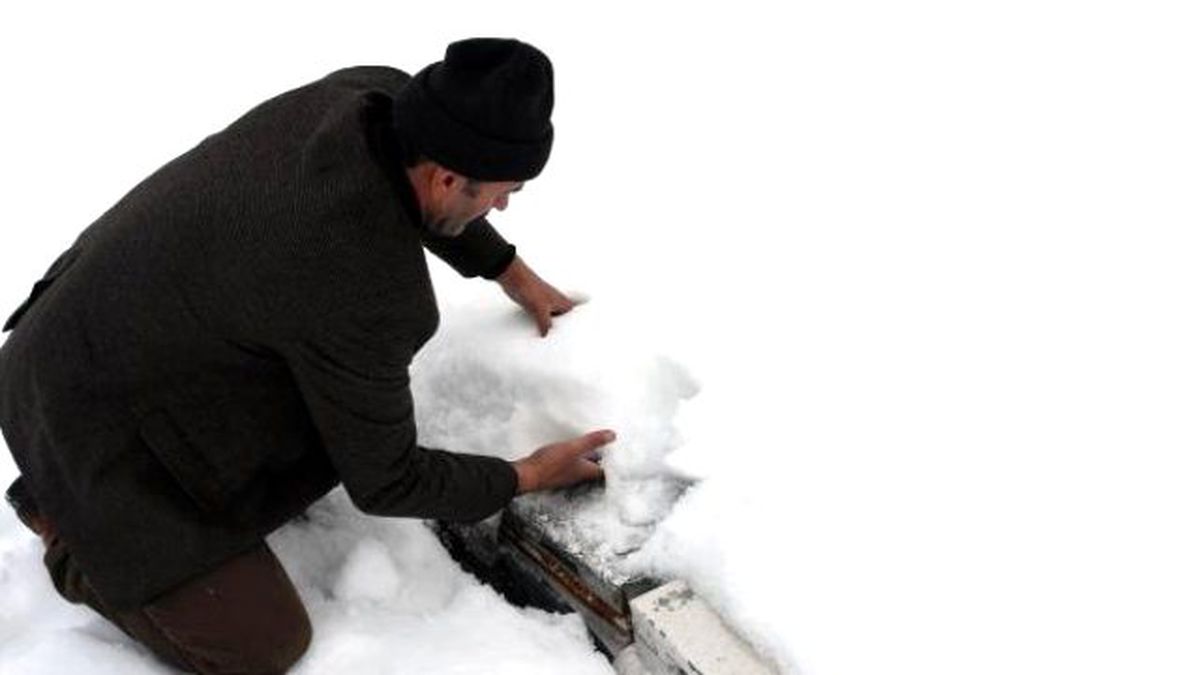 Kar Arılara Koruma Oldu