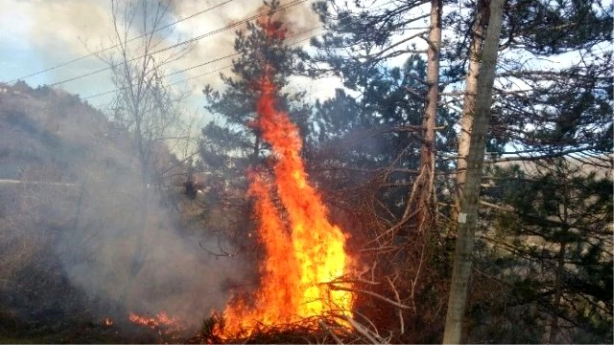 Kastamonu\'da Orman Yangını