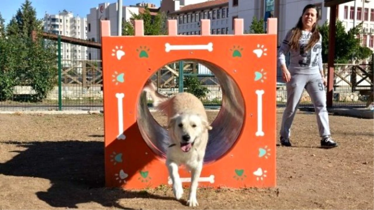 Konyaaltı Belediyesi Gürsu Köpek Oyun Parkı\'nı Açtı