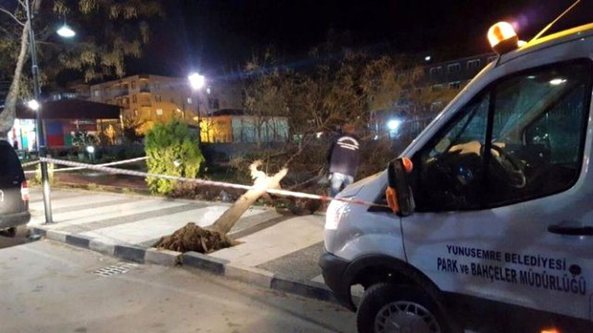 Lodosun Devirdiği Ağaçlar Ekiplerce Kaldırıldı