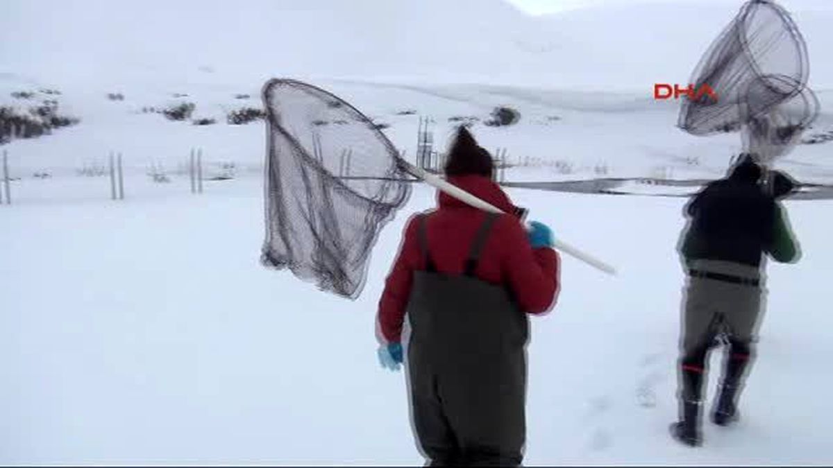 Van - Balıklara Hes Engeli