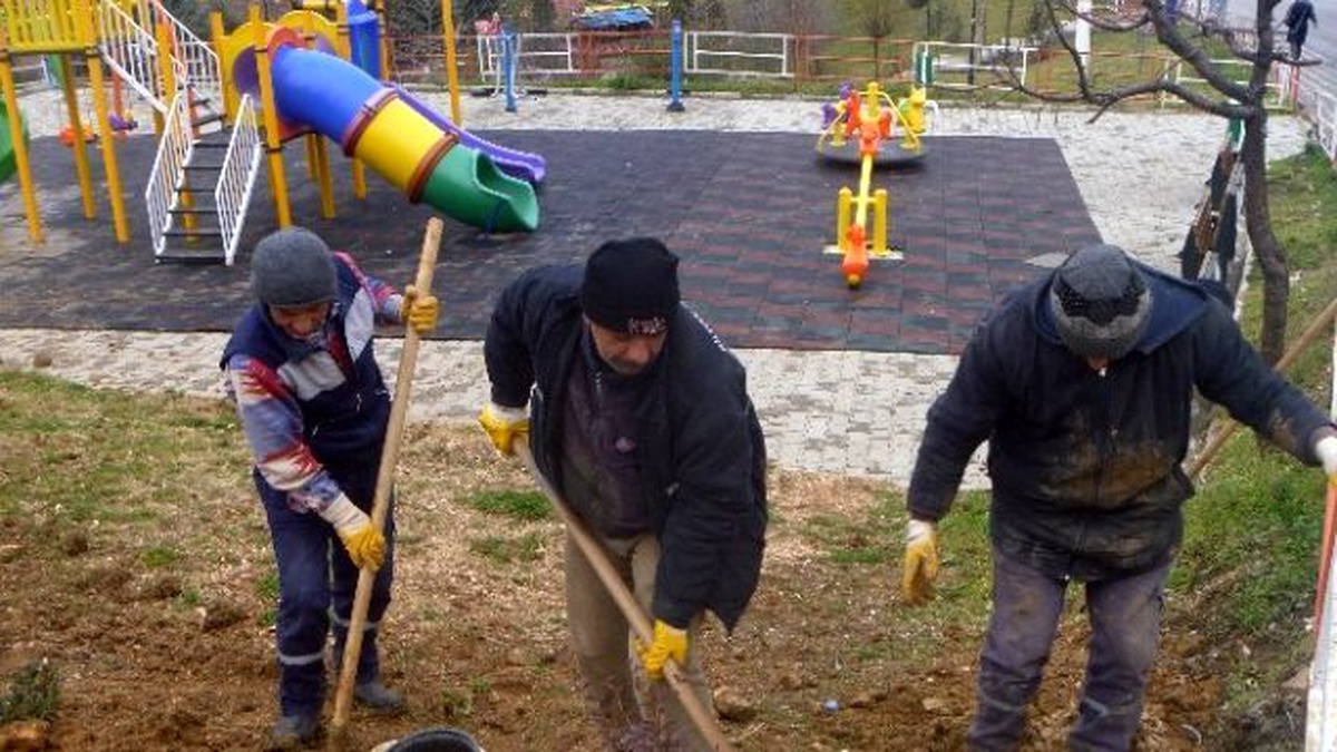 Bilecik Belediyesinden Süs Fidanı Dikimi