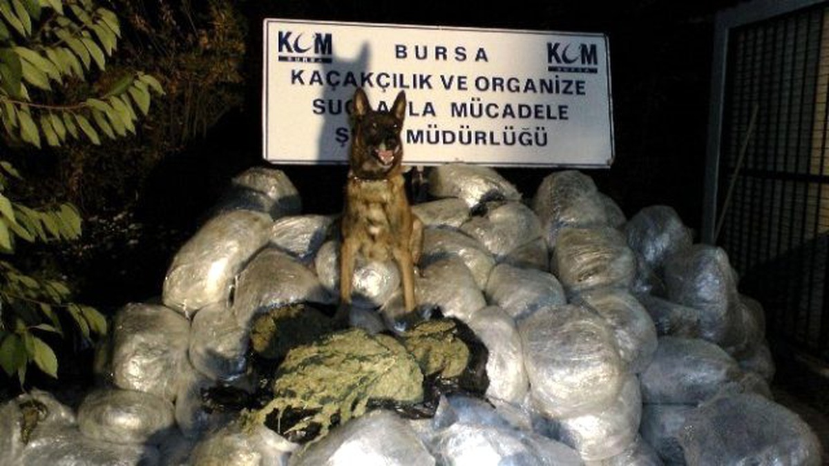 Bursa\'da 414 Kişi Uyuşturucu Suçundan Tutuklandı