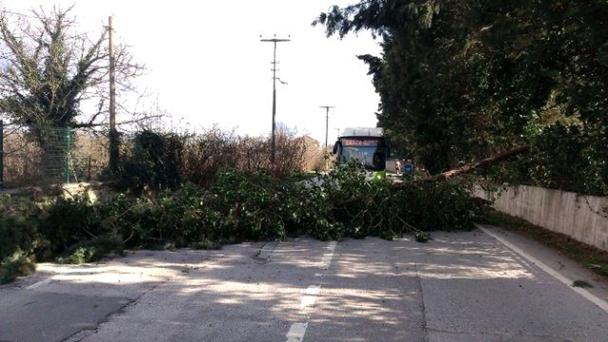 Fırtına Sonrası Kartepe Zabıtası Önlem Aldı
