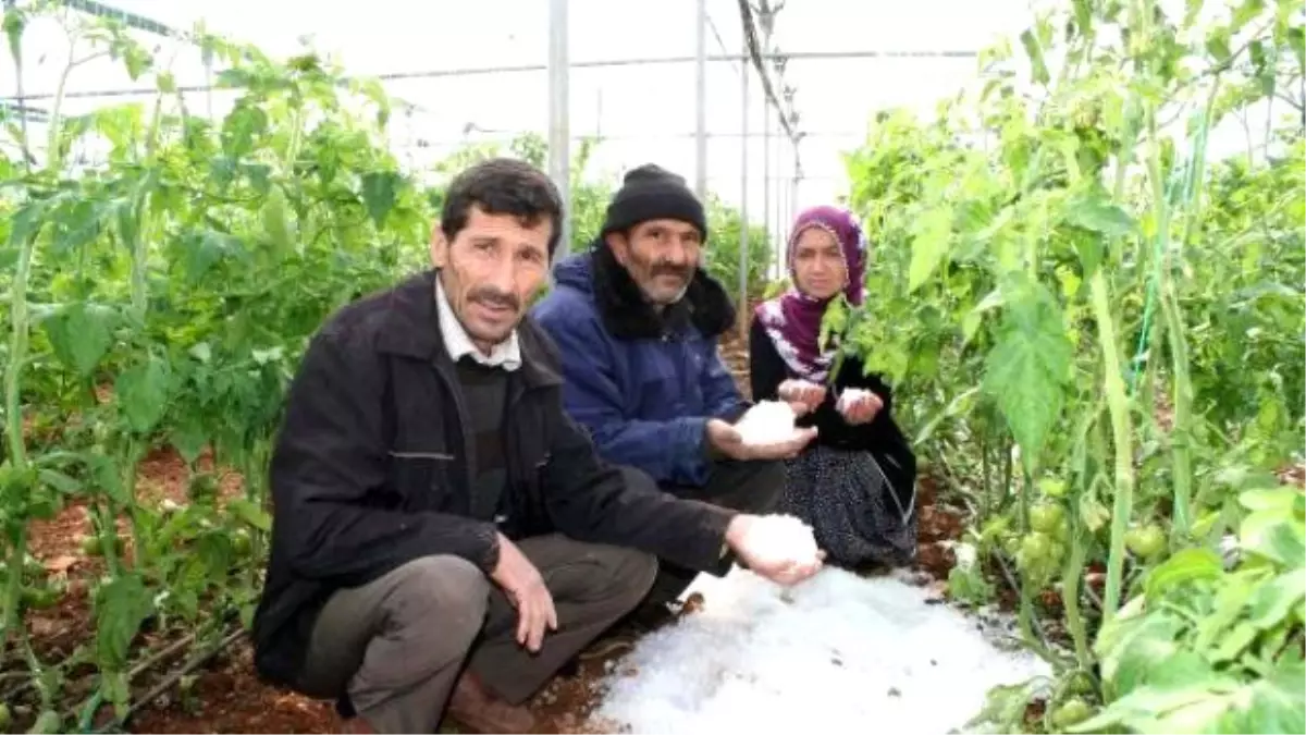 Fırtına ve Dolu Yağışı Çiftçiyi Vurdu