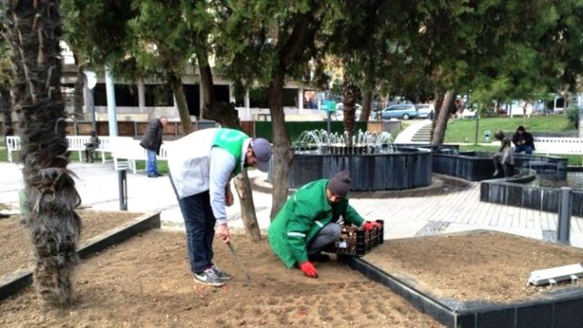 İzmit\'teki Parklara 200 Bin Lale Ekildi