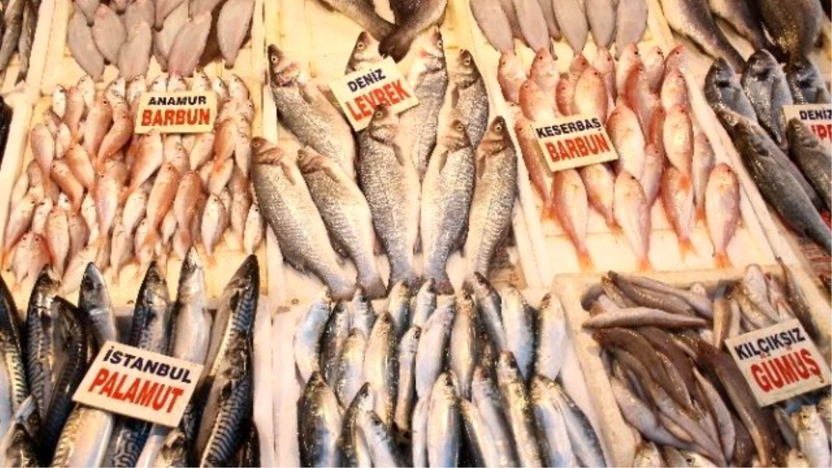 Mersin Balık Pazarında Balık Bolluğu
