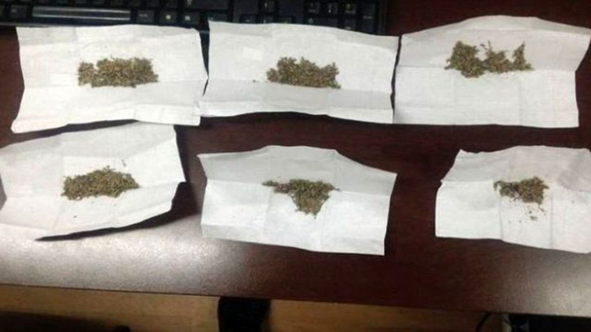 Amasya Polisinden Bonzai Baskını