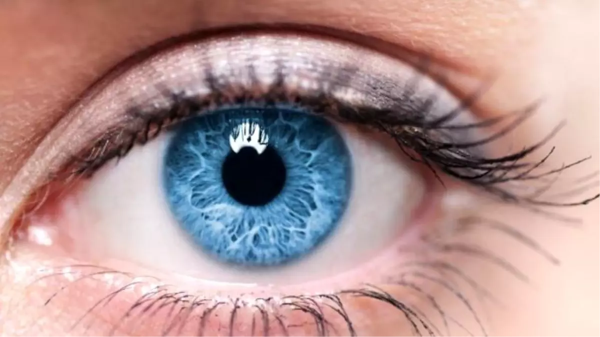 Göz Önünde Uçuşan Maddelerin Sırrı ne