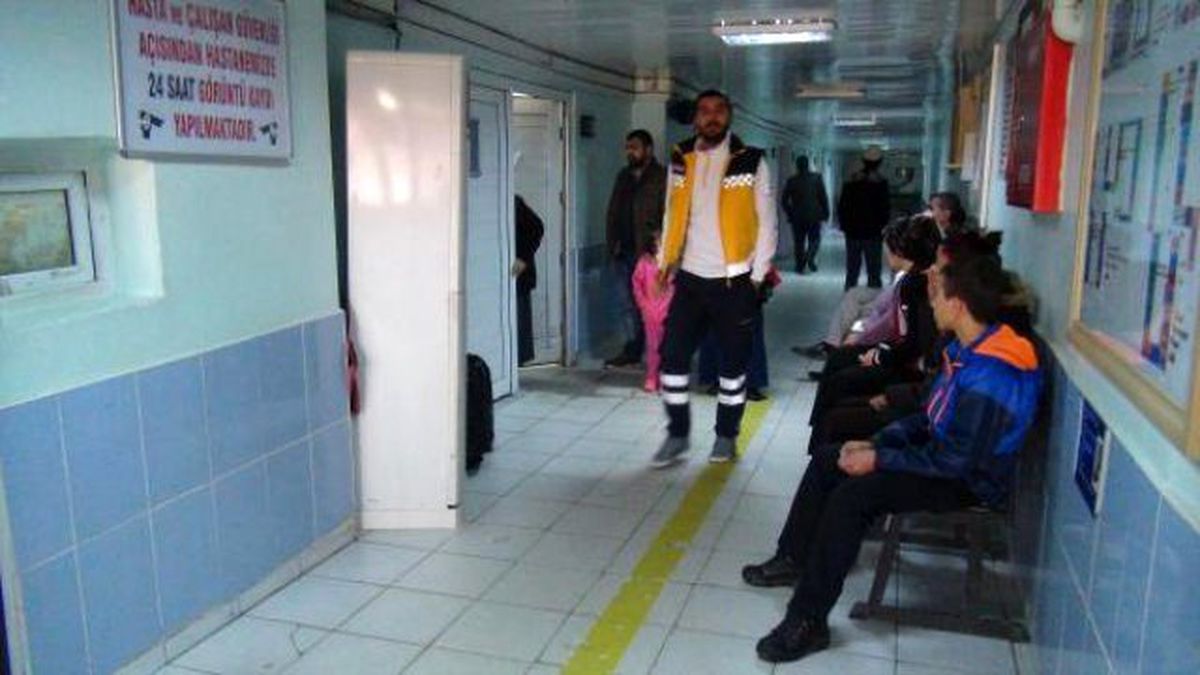 Silvan\'da Domuz Gribi Paniği