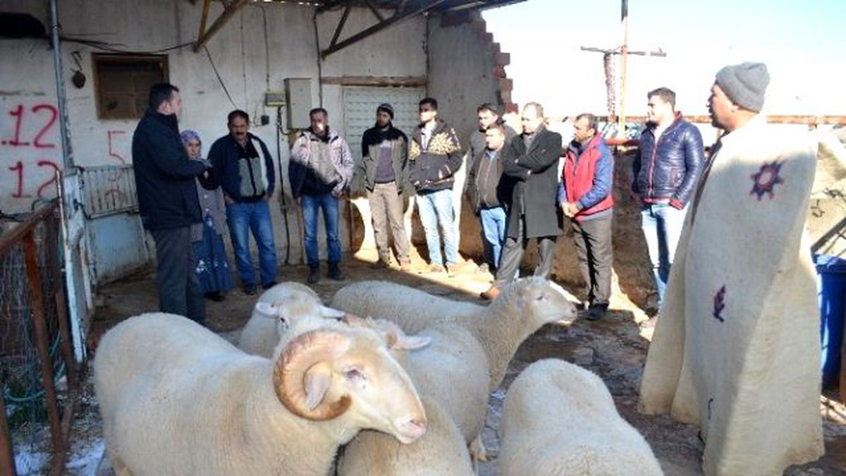 Sürü Yönetimi Kursunda Uygulama Eğitimi