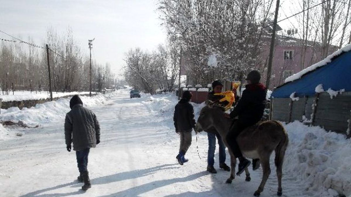 Vartolu Çocukların Eşek Alışverişi
