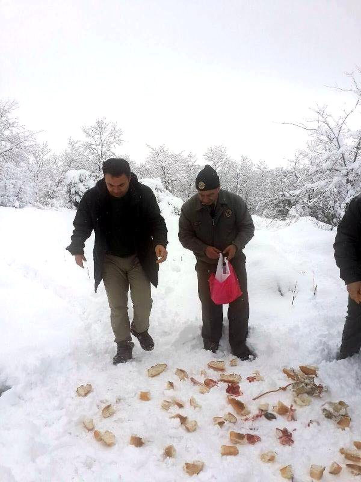 Yaban Hayvanları İçin Ormana Yiyecek Bırakıldı