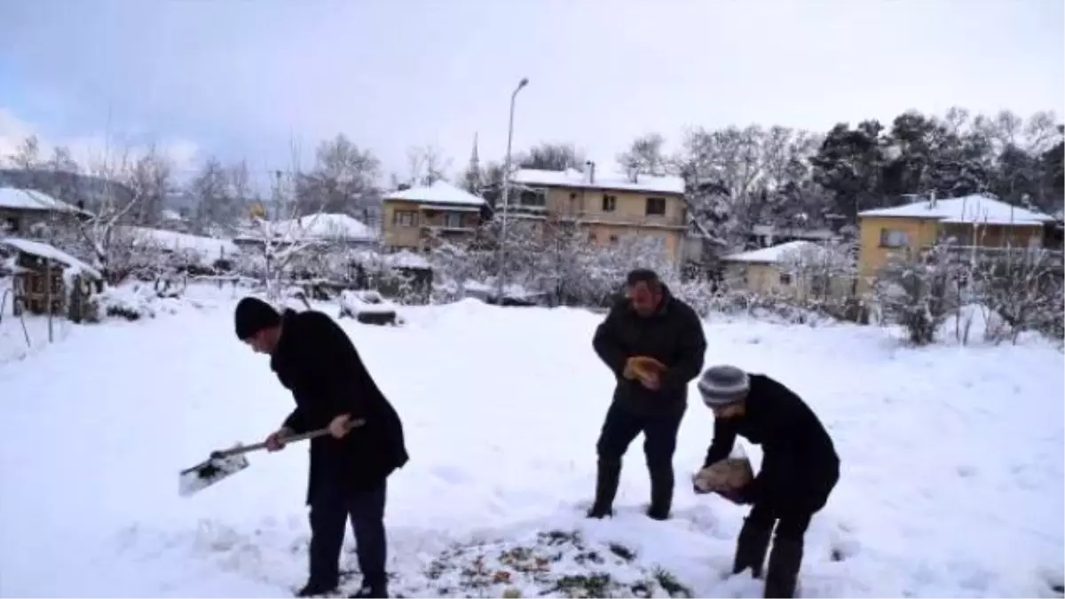 Soğuk Havada Sokak Hayvanları ve Kuşlar Unutulmadı