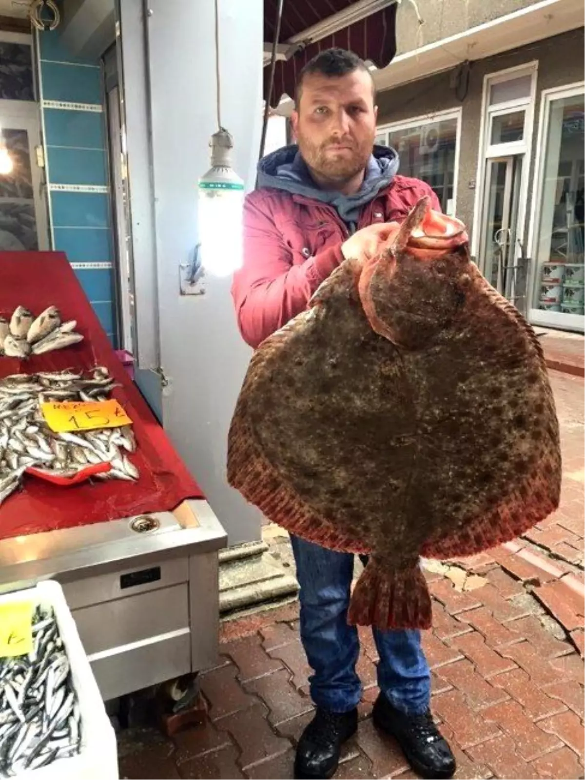 13 Kilo 200 Gramlık Kalkan Şaşırttı