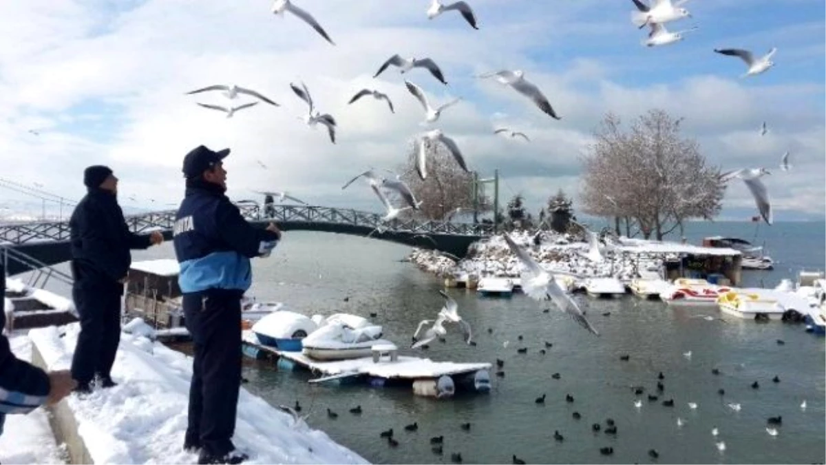 Beyşehir\'de Zabıtadan Su Kuşları İçin \'Farkındalık\' Mesaisi